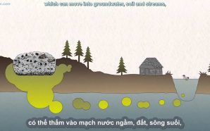 Plastik Maddeleri Çevreye Attığımızda Gerçekte Ne Olur?