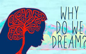 Neden Rüya Görürüz ?